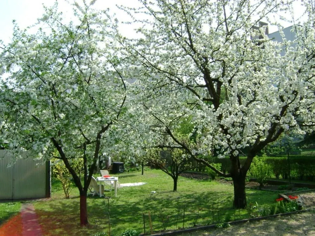 Haus in Budapest mit Garten Ferienhaus